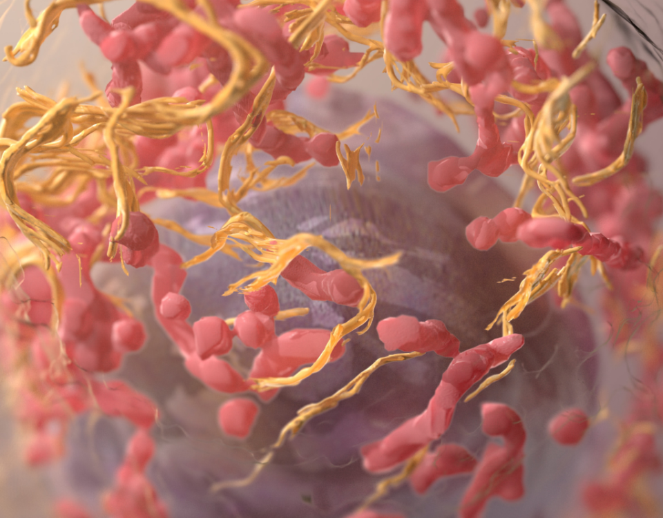 Vaccini contro il cancro entro il 2030